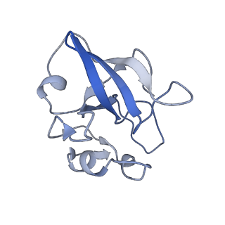 12763_7o9k_L_v1-0
Human mitochondrial ribosome large subunit assembly intermediate with MTERF4-NSUN4, MRM2, MTG1, the MALSU module, GTPBP5 and mtEF-Tu