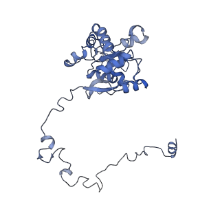 12763_7o9k_M_v1-0
Human mitochondrial ribosome large subunit assembly intermediate with MTERF4-NSUN4, MRM2, MTG1, the MALSU module, GTPBP5 and mtEF-Tu