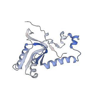 12763_7o9k_N_v1-0
Human mitochondrial ribosome large subunit assembly intermediate with MTERF4-NSUN4, MRM2, MTG1, the MALSU module, GTPBP5 and mtEF-Tu