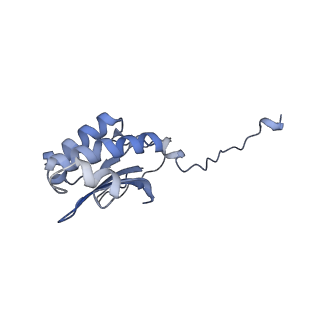 12763_7o9k_P_v1-0
Human mitochondrial ribosome large subunit assembly intermediate with MTERF4-NSUN4, MRM2, MTG1, the MALSU module, GTPBP5 and mtEF-Tu