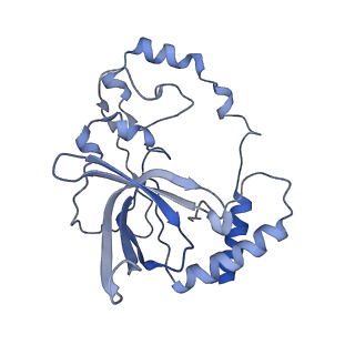 12763_7o9k_Q_v1-0
Human mitochondrial ribosome large subunit assembly intermediate with MTERF4-NSUN4, MRM2, MTG1, the MALSU module, GTPBP5 and mtEF-Tu