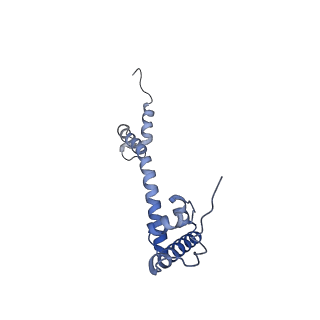 12763_7o9k_R_v1-0
Human mitochondrial ribosome large subunit assembly intermediate with MTERF4-NSUN4, MRM2, MTG1, the MALSU module, GTPBP5 and mtEF-Tu