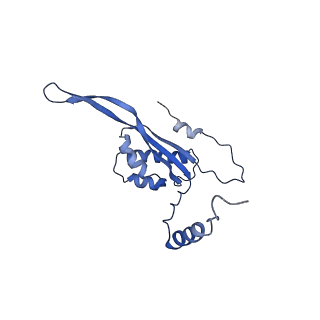 12763_7o9k_T_v1-0
Human mitochondrial ribosome large subunit assembly intermediate with MTERF4-NSUN4, MRM2, MTG1, the MALSU module, GTPBP5 and mtEF-Tu