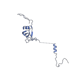 12763_7o9k_U_v1-0
Human mitochondrial ribosome large subunit assembly intermediate with MTERF4-NSUN4, MRM2, MTG1, the MALSU module, GTPBP5 and mtEF-Tu