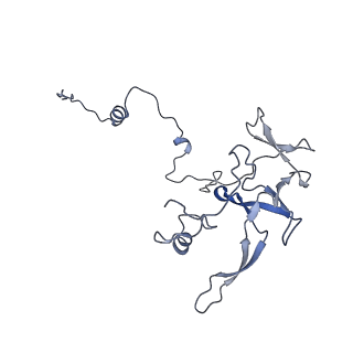 12763_7o9k_V_v1-0
Human mitochondrial ribosome large subunit assembly intermediate with MTERF4-NSUN4, MRM2, MTG1, the MALSU module, GTPBP5 and mtEF-Tu