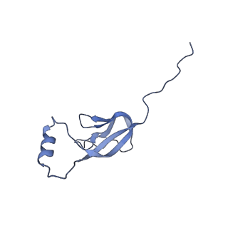 12763_7o9k_W_v1-0
Human mitochondrial ribosome large subunit assembly intermediate with MTERF4-NSUN4, MRM2, MTG1, the MALSU module, GTPBP5 and mtEF-Tu