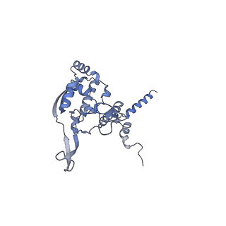 12763_7o9k_X_v1-0
Human mitochondrial ribosome large subunit assembly intermediate with MTERF4-NSUN4, MRM2, MTG1, the MALSU module, GTPBP5 and mtEF-Tu