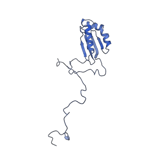 12763_7o9k_b_v1-0
Human mitochondrial ribosome large subunit assembly intermediate with MTERF4-NSUN4, MRM2, MTG1, the MALSU module, GTPBP5 and mtEF-Tu