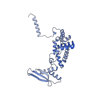 12763_7o9k_c_v1-0
Human mitochondrial ribosome large subunit assembly intermediate with MTERF4-NSUN4, MRM2, MTG1, the MALSU module, GTPBP5 and mtEF-Tu