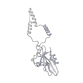 12763_7o9k_e_v1-0
Human mitochondrial ribosome large subunit assembly intermediate with MTERF4-NSUN4, MRM2, MTG1, the MALSU module, GTPBP5 and mtEF-Tu