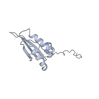 12763_7o9k_f_v1-0
Human mitochondrial ribosome large subunit assembly intermediate with MTERF4-NSUN4, MRM2, MTG1, the MALSU module, GTPBP5 and mtEF-Tu