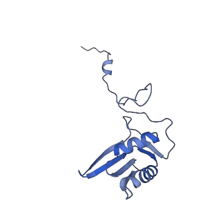 12763_7o9k_g_v1-0
Human mitochondrial ribosome large subunit assembly intermediate with MTERF4-NSUN4, MRM2, MTG1, the MALSU module, GTPBP5 and mtEF-Tu