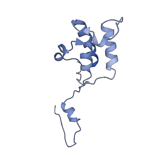 12763_7o9k_h_v1-0
Human mitochondrial ribosome large subunit assembly intermediate with MTERF4-NSUN4, MRM2, MTG1, the MALSU module, GTPBP5 and mtEF-Tu