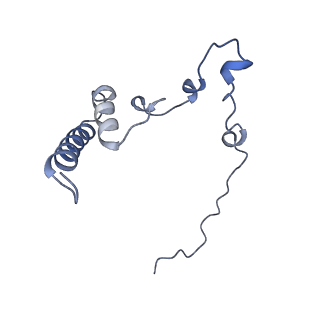 12763_7o9k_i_v1-0
Human mitochondrial ribosome large subunit assembly intermediate with MTERF4-NSUN4, MRM2, MTG1, the MALSU module, GTPBP5 and mtEF-Tu