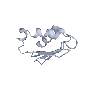 12763_7o9k_k_v1-0
Human mitochondrial ribosome large subunit assembly intermediate with MTERF4-NSUN4, MRM2, MTG1, the MALSU module, GTPBP5 and mtEF-Tu