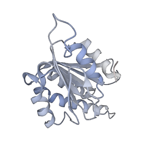 12763_7o9k_n_v1-0
Human mitochondrial ribosome large subunit assembly intermediate with MTERF4-NSUN4, MRM2, MTG1, the MALSU module, GTPBP5 and mtEF-Tu
