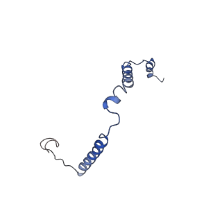 12763_7o9k_o_v1-0
Human mitochondrial ribosome large subunit assembly intermediate with MTERF4-NSUN4, MRM2, MTG1, the MALSU module, GTPBP5 and mtEF-Tu