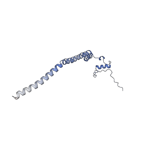 12763_7o9k_q_v1-0
Human mitochondrial ribosome large subunit assembly intermediate with MTERF4-NSUN4, MRM2, MTG1, the MALSU module, GTPBP5 and mtEF-Tu