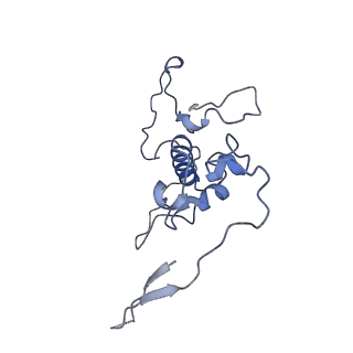 12763_7o9k_r_v1-0
Human mitochondrial ribosome large subunit assembly intermediate with MTERF4-NSUN4, MRM2, MTG1, the MALSU module, GTPBP5 and mtEF-Tu