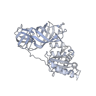 12763_7o9k_t_v1-0
Human mitochondrial ribosome large subunit assembly intermediate with MTERF4-NSUN4, MRM2, MTG1, the MALSU module, GTPBP5 and mtEF-Tu