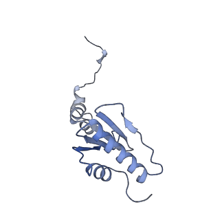 12763_7o9k_u_v1-0
Human mitochondrial ribosome large subunit assembly intermediate with MTERF4-NSUN4, MRM2, MTG1, the MALSU module, GTPBP5 and mtEF-Tu