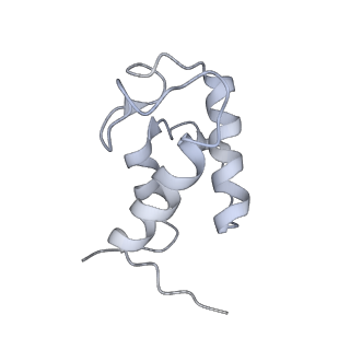 12763_7o9k_w_v1-0
Human mitochondrial ribosome large subunit assembly intermediate with MTERF4-NSUN4, MRM2, MTG1, the MALSU module, GTPBP5 and mtEF-Tu