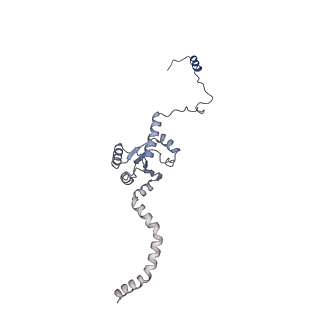 12764_7o9m_I_v1-0
Human mitochondrial ribosome large subunit assembly intermediate with MTERF4-NSUN4, MRM2, MTG1 and the MALSU module