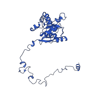 12764_7o9m_M_v1-0
Human mitochondrial ribosome large subunit assembly intermediate with MTERF4-NSUN4, MRM2, MTG1 and the MALSU module