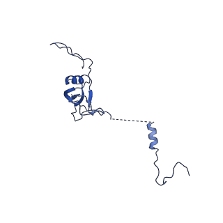 12764_7o9m_U_v1-0
Human mitochondrial ribosome large subunit assembly intermediate with MTERF4-NSUN4, MRM2, MTG1 and the MALSU module