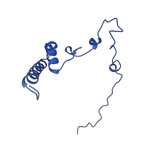 12764_7o9m_i_v1-0
Human mitochondrial ribosome large subunit assembly intermediate with MTERF4-NSUN4, MRM2, MTG1 and the MALSU module
