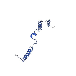 12764_7o9m_o_v1-0
Human mitochondrial ribosome large subunit assembly intermediate with MTERF4-NSUN4, MRM2, MTG1 and the MALSU module