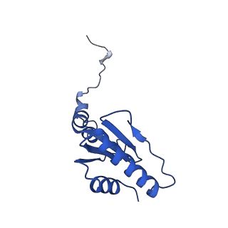 12764_7o9m_u_v1-0
Human mitochondrial ribosome large subunit assembly intermediate with MTERF4-NSUN4, MRM2, MTG1 and the MALSU module