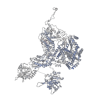 3766_5o9z_A_v1-3
Cryo-EM structure of a pre-catalytic human spliceosome primed for activation (B complex)