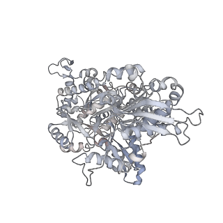3766_5o9z_B_v1-3
Cryo-EM structure of a pre-catalytic human spliceosome primed for activation (B complex)