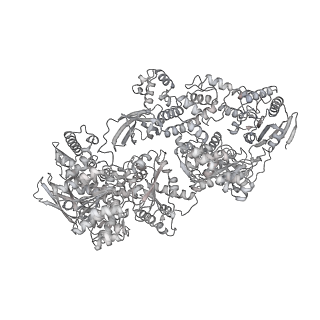 3766_5o9z_C_v1-3
Cryo-EM structure of a pre-catalytic human spliceosome primed for activation (B complex)