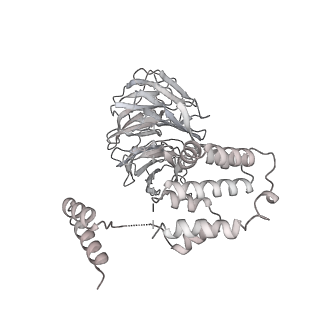3766_5o9z_L_v1-3
Cryo-EM structure of a pre-catalytic human spliceosome primed for activation (B complex)