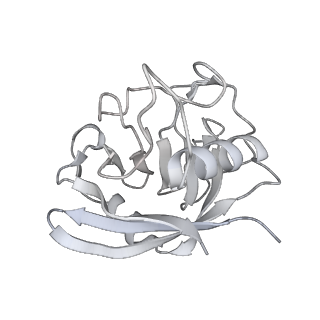 3766_5o9z_M_v1-3
Cryo-EM structure of a pre-catalytic human spliceosome primed for activation (B complex)
