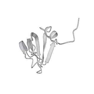 3766_5o9z_j_v1-3
Cryo-EM structure of a pre-catalytic human spliceosome primed for activation (B complex)