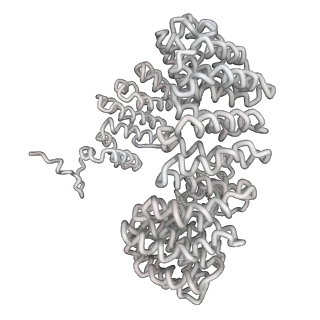 3766_5o9z_v_v1-3
Cryo-EM structure of a pre-catalytic human spliceosome primed for activation (B complex)