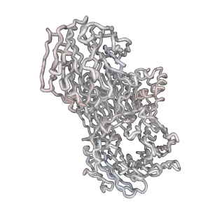 3766_5o9z_w_v1-3
Cryo-EM structure of a pre-catalytic human spliceosome primed for activation (B complex)