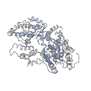3802_6o9m_0_v1-3
Structure of the human apo TFIIH