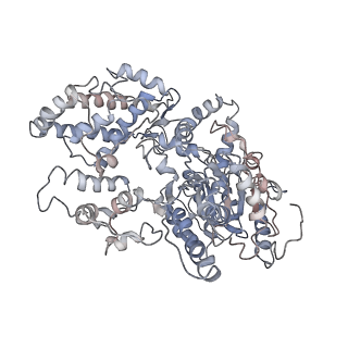 3802_6o9m_0_v1-4
Structure of the human apo TFIIH