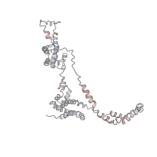 3802_6o9m_1_v1-3
Structure of the human apo TFIIH