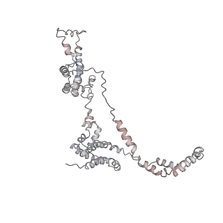 3802_6o9m_1_v1-4
Structure of the human apo TFIIH