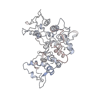 3802_6o9m_2_v1-3
Structure of the human apo TFIIH