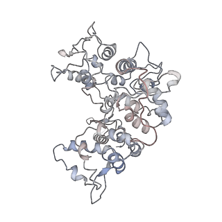 3802_6o9m_2_v1-4
Structure of the human apo TFIIH