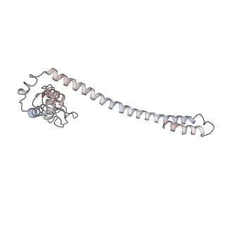 3802_6o9m_3_v1-3
Structure of the human apo TFIIH