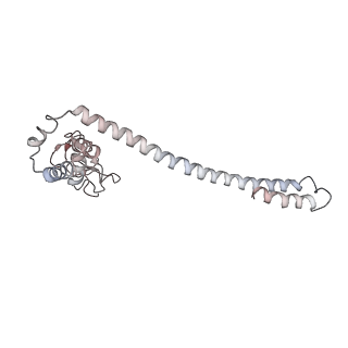 3802_6o9m_3_v1-4
Structure of the human apo TFIIH