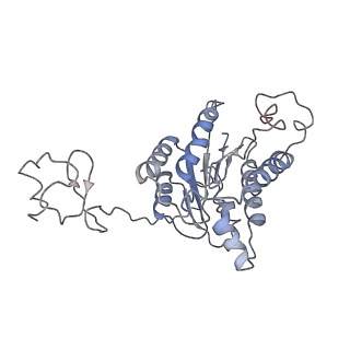 3802_6o9m_4_v1-3
Structure of the human apo TFIIH
