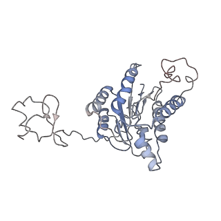 3802_6o9m_4_v1-4
Structure of the human apo TFIIH